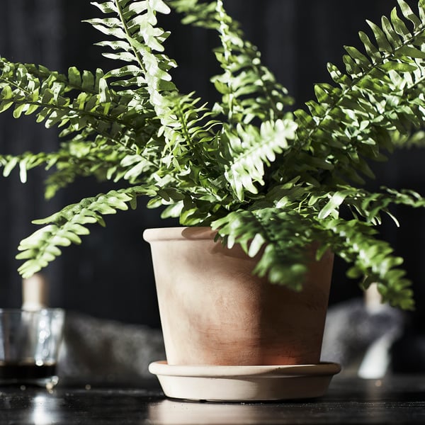 MUSKOTBLOMMA Vaso con sottovaso, da interno/esterno terracotta, 15 cm