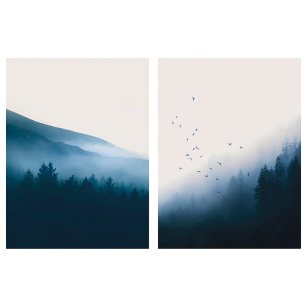 PJÄTTERYD Canvas, bruma mattutina, 30x40 cm
