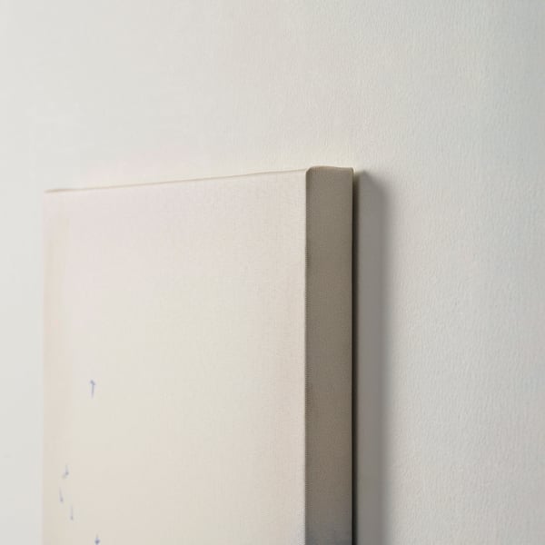 PJÄTTERYD Canvas, bruma mattutina, 30x40 cm