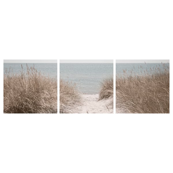 PJÄTTERYD Canvas, dune di sabbia Svezia, 56x56 cm