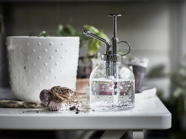 SESAMFRÖN Nebulizzatore per piante, vetro trasparente, 25 cl