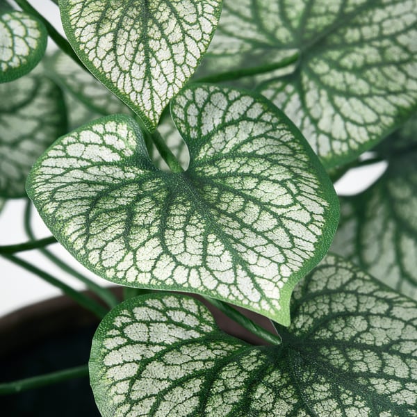 SMÅTÄRNA Pianta artificiale in vaso, carta/brunnera, 12 cm