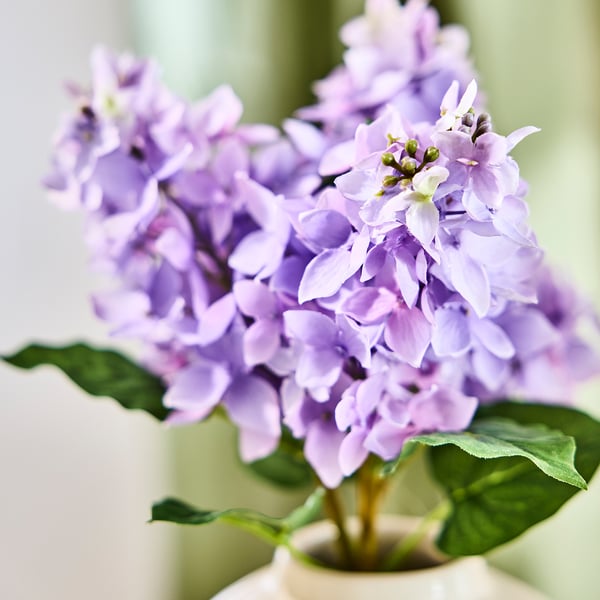 SMYCKA Bouquet artificiale, da interno/esterno/lilla, 36 cm
