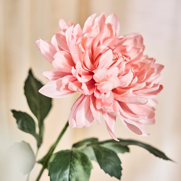 SMYCKA Fiore artificiale, da interno/esterno Dalia/rosa chiaro, 67 cm