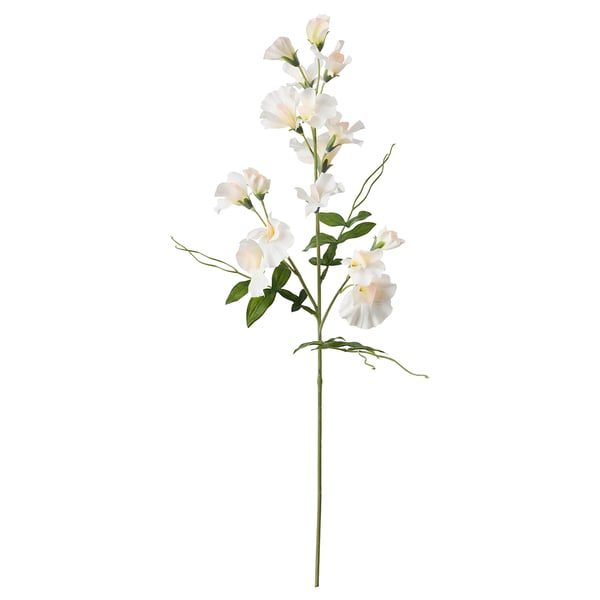 SMYCKA Fiore artificiale, Lathyrus odoratus/bianco, 60 cm