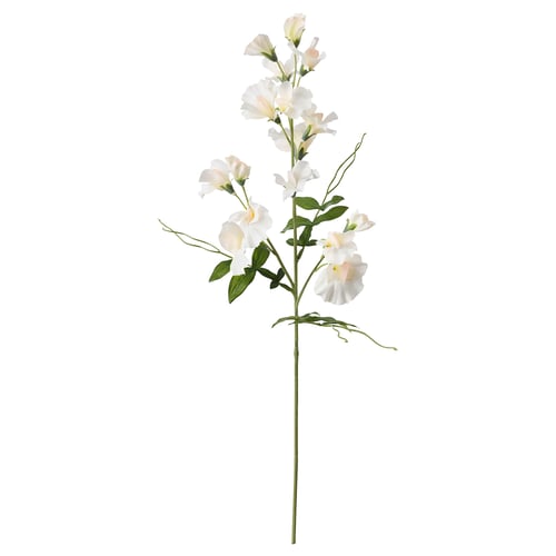 SMYCKA Fiore artificiale, Lathyrus odoratus/bianco, 60 cm