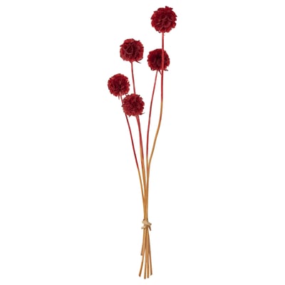 TORKA Parti di piante secche, mazzo/scabiosa rosso, 40 cm