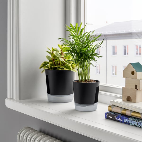 VÅRDTRÄD Vaso a riserva d'acqua, da interno/esterno trasparente/antracite, 9 cm
