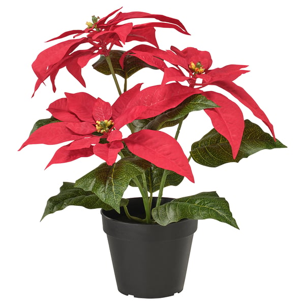 VINTERFINT Pianta artificiale in vaso, da interno/esterno Stella di Natale/rosso, 12 cm