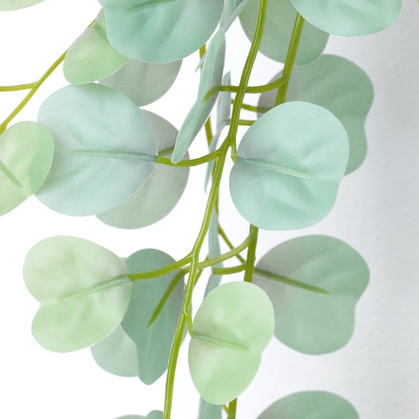 FEJKA Planta artificial con soporte pared, interior/exterior/verde