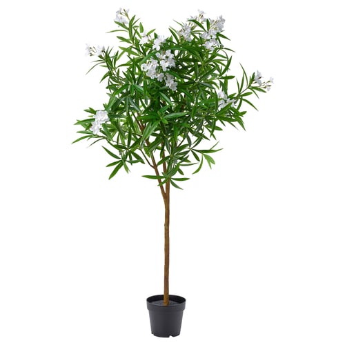 FEJKA Planta artificial, interior/exterior/adelfa blanco, 19 cm