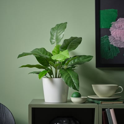 FEJKA Planta artificial, interior/exterior calatea, 12 cm