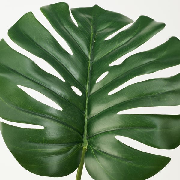 FEJKA Planta artificial, interior/exterior monstera, 19 cm