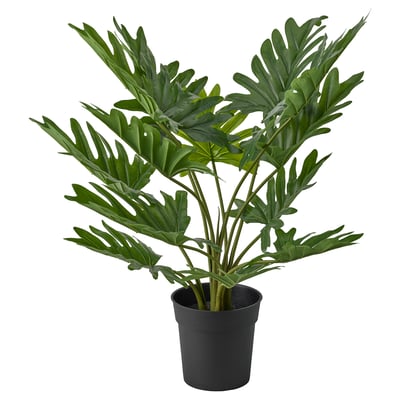 FEJKA Planta artificial, interior/exterior Philodendron xanadu, 19 cm