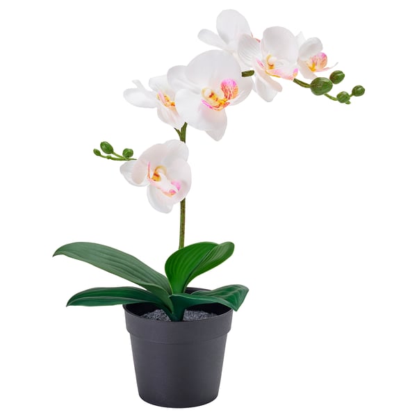 FEJKA Planta artificial, orquídea blanco, 9 cm