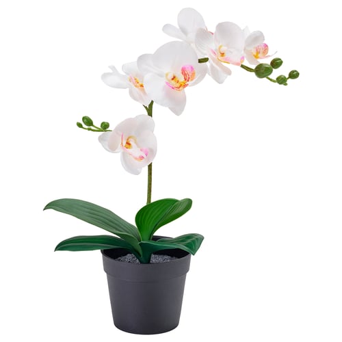 FEJKA Planta artificial, orquídea blanco, 9 cm