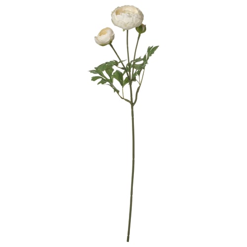 SMYCKA Flor artificial, interior/exterior ranúnculo/blanco, 52 cm