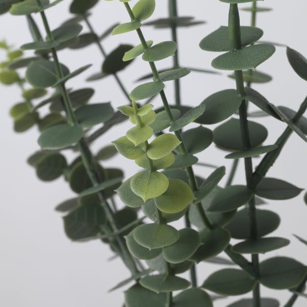 SMYCKA Hoja artificial, interior/exterior/eucalipto ramo, 40 cm