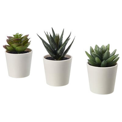 FEJKA Planta artificial con matera, Interior / exterior Suculenta, 6 cm 3 und