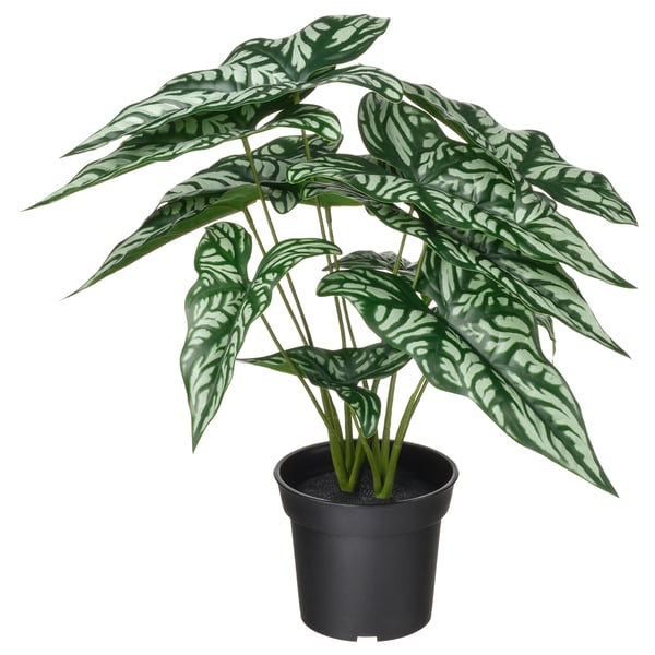 FEJKA Planta artificial, Interior / exterior Cercestis, 15 cm