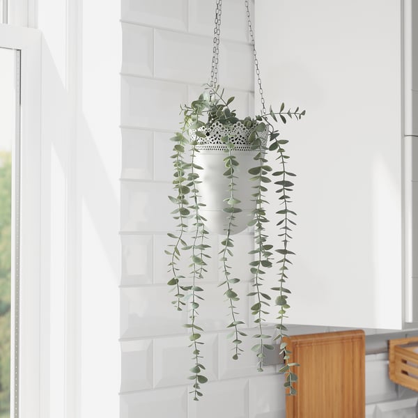 FEJKA Planta artificial, Interior / exterior Colgante/Eucalipto, 9 cm
