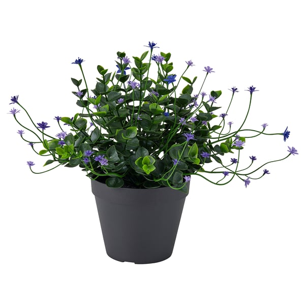 FEJKA Planta artificial, Interior / exterior/floración lila, 12 cm