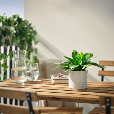FEJKA Planta artificial, Interior / exterior/hosta, 9 cm