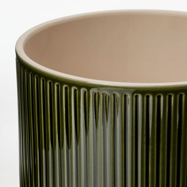 HONUNGSPALM Matera, Interior / exterior/verde, 19 cm