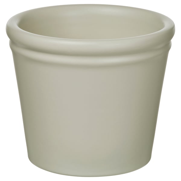KÖRSBÄRSBJÖRK Matera, gris beige, 6 cm