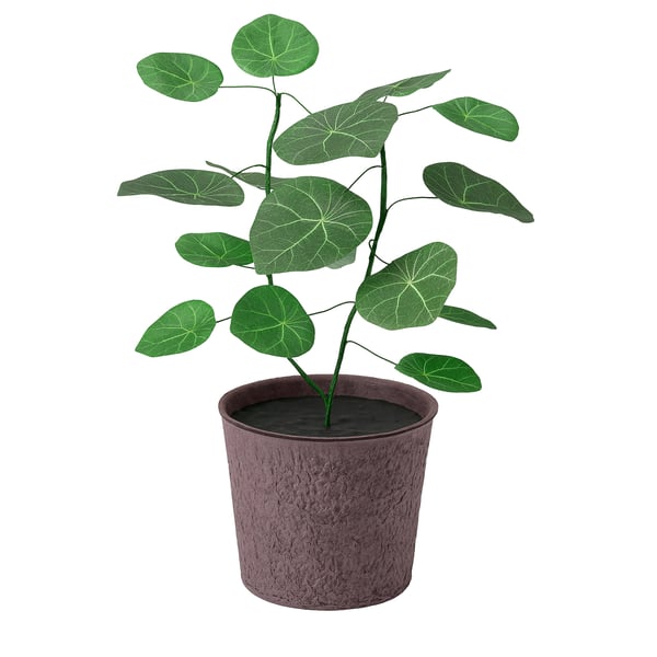 SMÅTÄRNA Planta artificial, Papel/Stephania, 12 cm