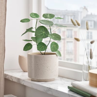 SMÅTÄRNA Planta artificial, Papel/Stephania, 12 cm
