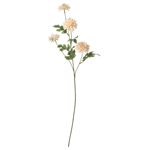 SMYCKA Flor artificial, Interior / exterior Crisantemo/blanco, 71 cm