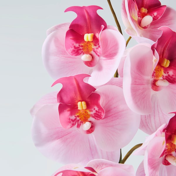 SMYCKA Flor artificial, Interior / exterior/Orquídea rosado, 60 cm