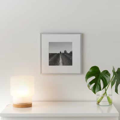 Zarámovaná fotografie na zeď, lampu, rostlinu na stole