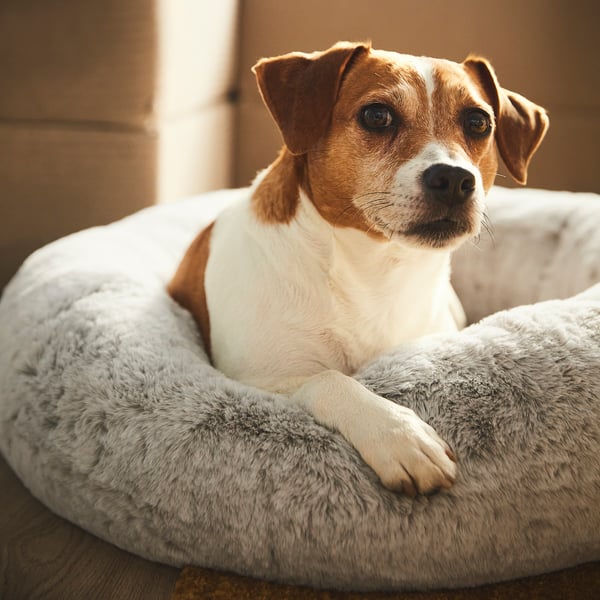 Útulný, kulatý pelíšek s vysokými stranami, navržený pro pohodlné lokny. Ideální pro středně velké psy, je měkký a uklidňující.