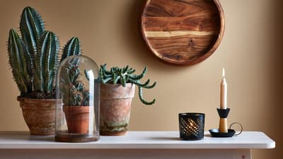 Decoration