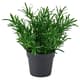 Artificial desk plants