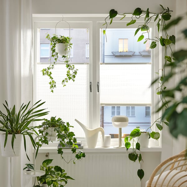 Bright white window with HORNVALLMO blind, various green plants, and a white lamp, creating a clean, minimalistic look.