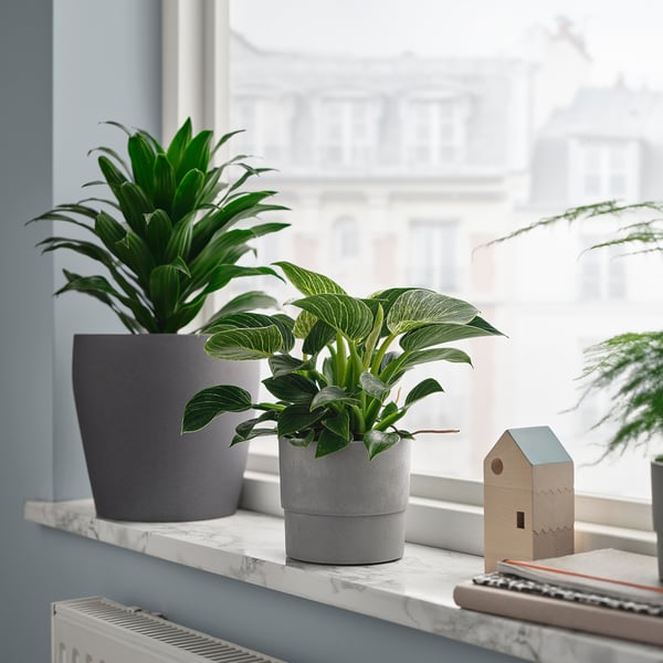 Window sill with two potted plants and wooden toy house, showing cityscape outside.