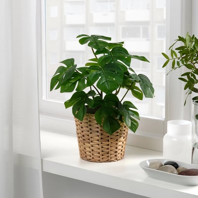 FEJKA Topfpflanze, künstlich, drinnen/draußen Monstera, 12 cm