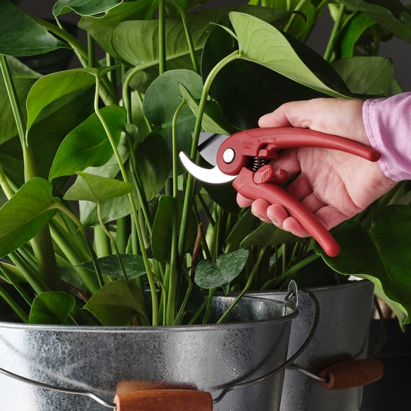 BRYTBÖNA Secateurs, bright red