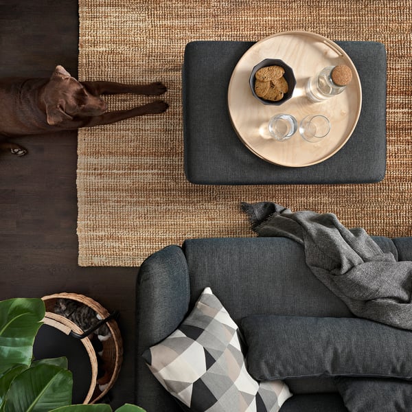 Living room with grey FAMMARP sofa, woven rug, cat, coffee tray with cookies, and plant.