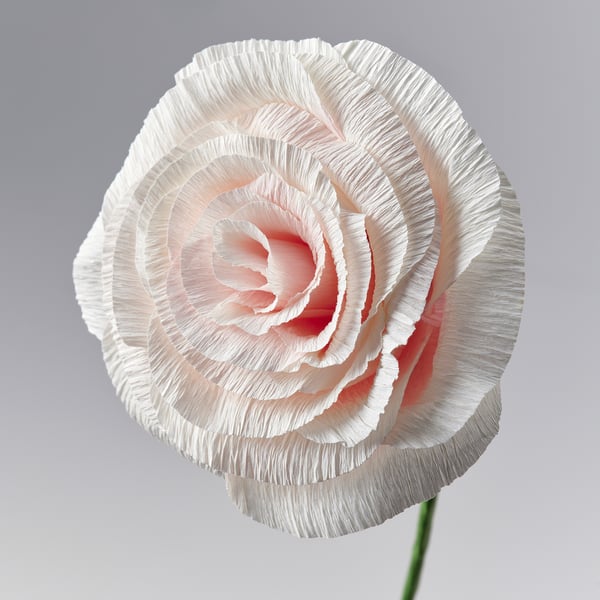 GULDSPETT Artificial flower, paper/Rose pink, 50 cm