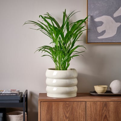 White stacked plant pots on cabinet.
