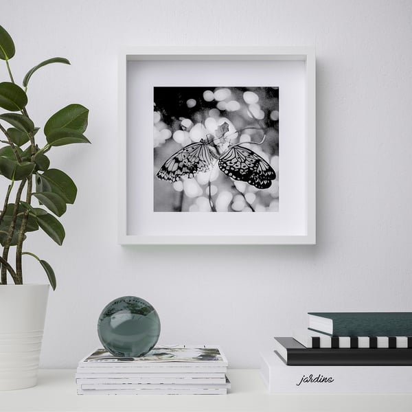 Framed butterfly art hung on wall beside books and plant.