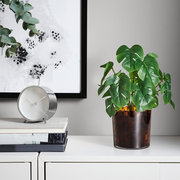 Clear glass plant pot with white dots and green plant on white surface with books and clock.