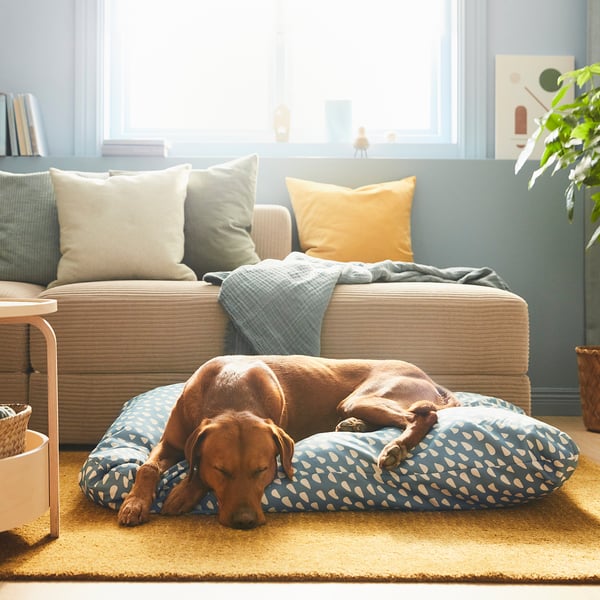 Dog bed with brown dog sleeping on patterned cushion in living room, near sofa and plant.