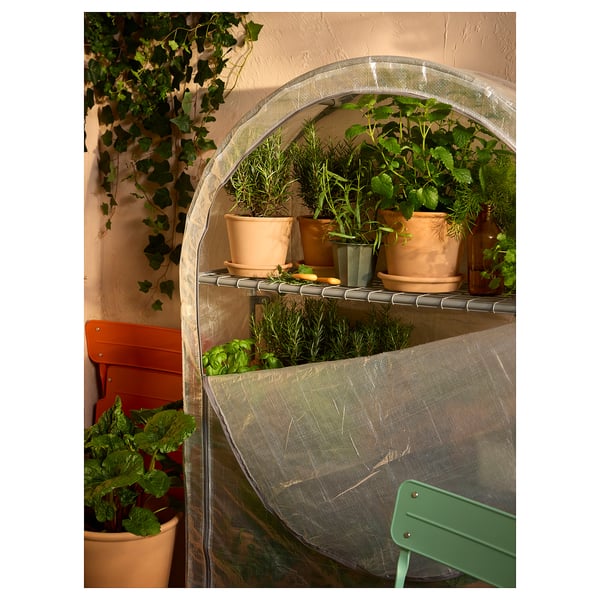 ASPAREN Drivhus, transparent hvid, 95x32x162 cm