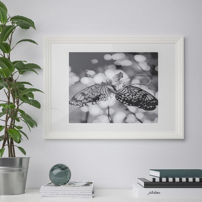 Sort/hvid sommerfuglekunst, magasiner, plante.