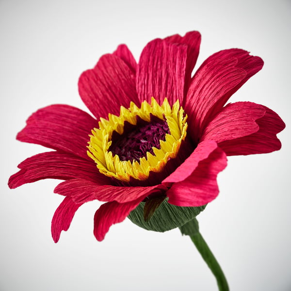 GULDSPETT Kunstig blomst, papir/Dahlia mørkrosa, 50 cm